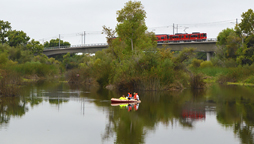 SDSU research protecting the health of the river.