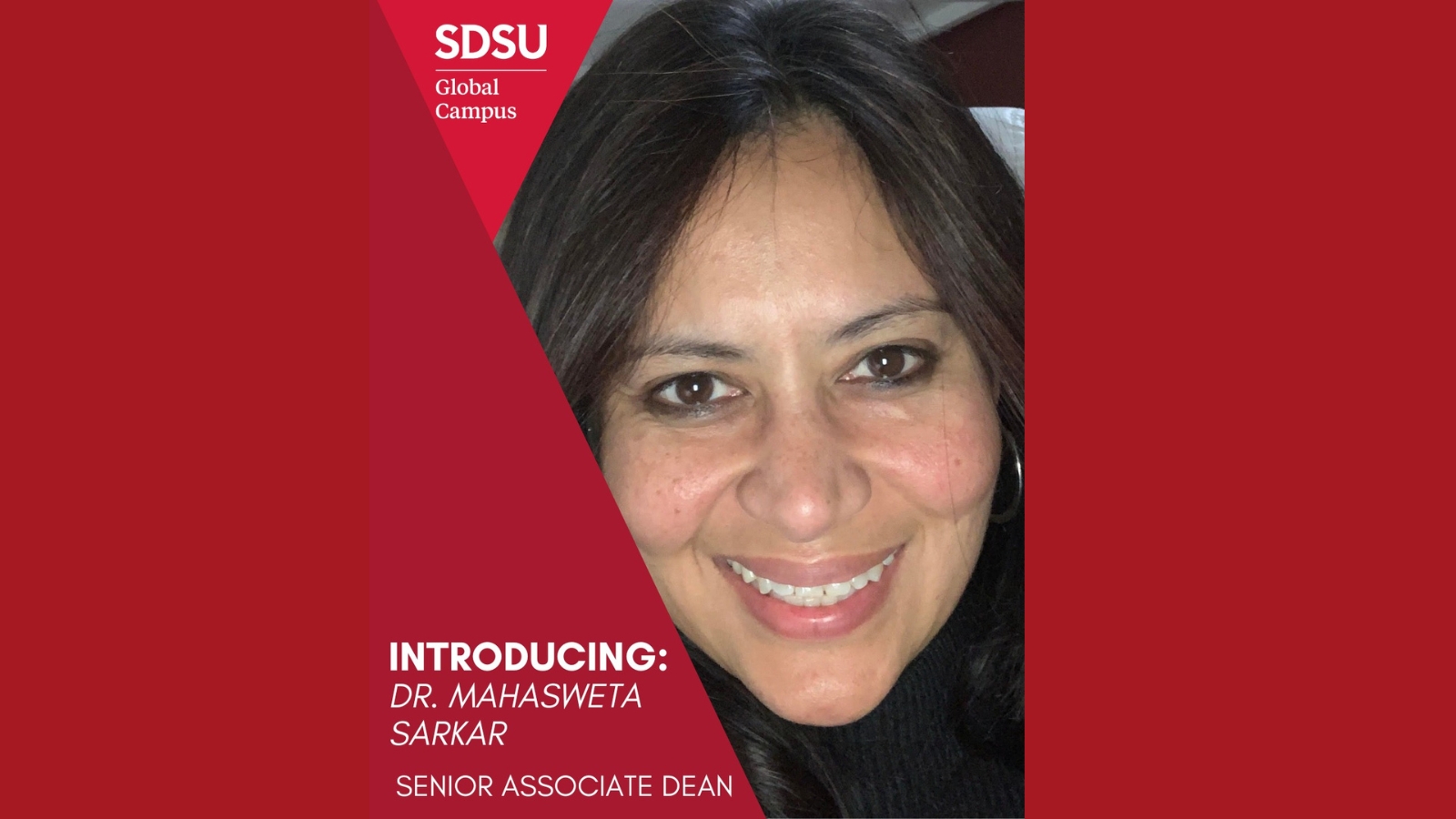Electrical and Computer Engineering Professor Announced as New Senior Associate Dean of SDSU Global Campus