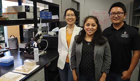 Three SDSU professors in their laboratory