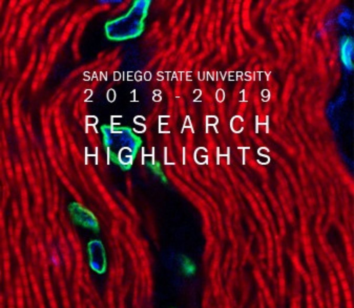 Research Highlights 2018-2019